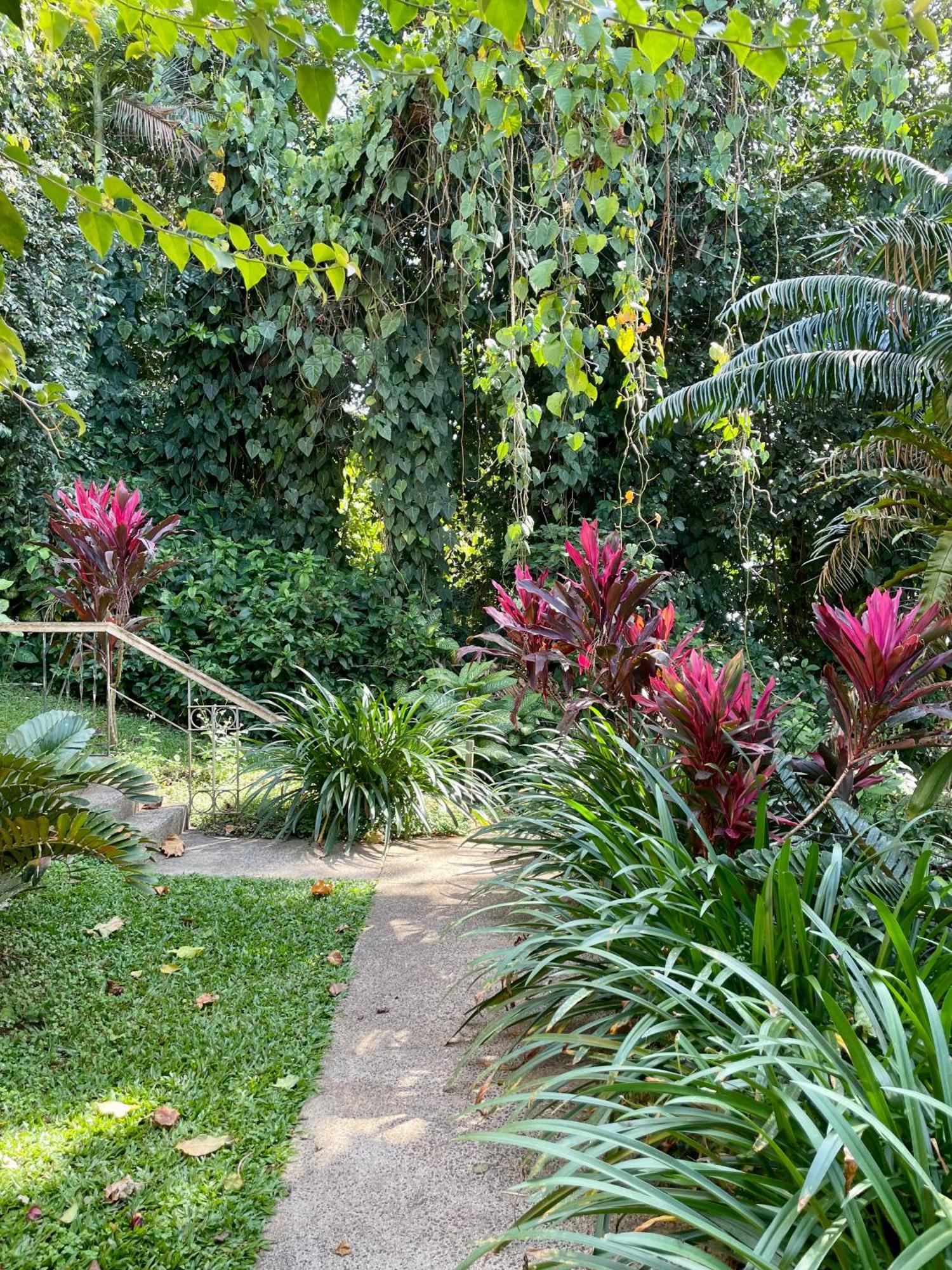 Babinda Quarters Hotel Eksteriør billede