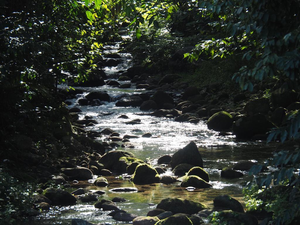 Babinda Quarters Hotel Eksteriør billede